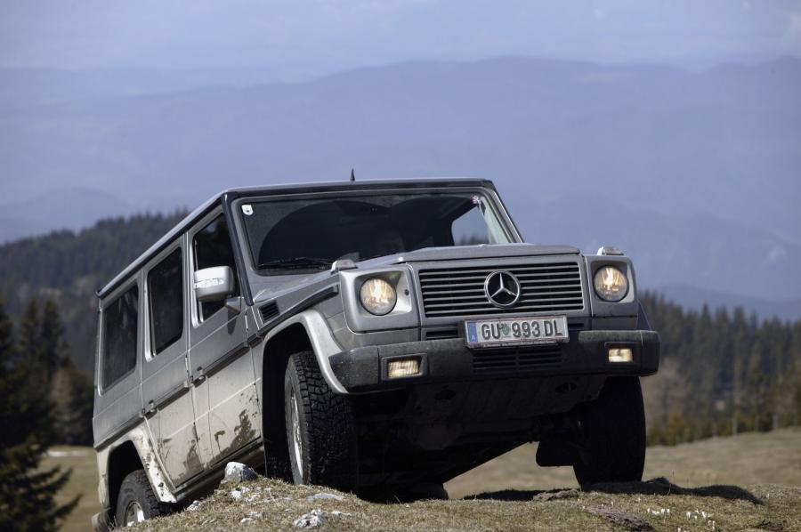  Mercedes-Benz G-Class 1990 года  (фото 178 из 260)